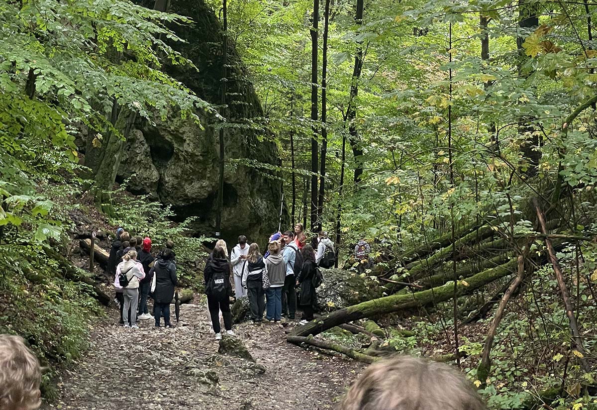Grupa uczniów spaceruje ścieżką w parku narodowym. Młodzież ubrana jest w sportowe stroje i plecaki. Wędrują wśród drzew po wyznaczonej trasie otoczeni zielenią i naturalnym krajobrazem. W tle widoczne są skały drz