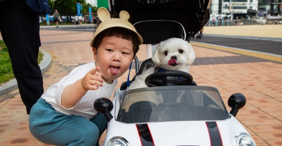 Spotkanie z podróżnikiem „KOREA POŁUDNIOWA”