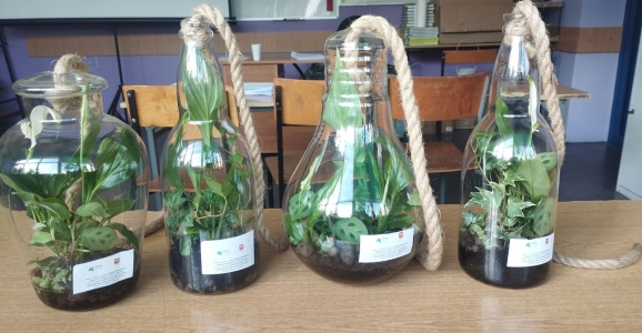 Edukacja ekologiczna - promocja WFOSGW