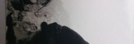 dsc