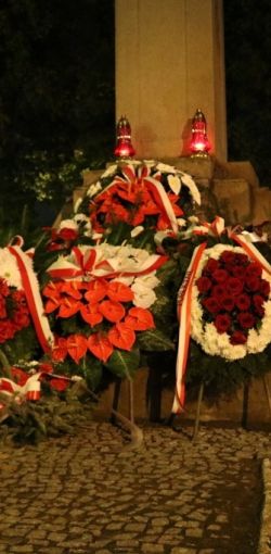 img 2355x683