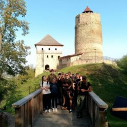 461699186 1039185784671747