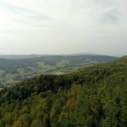 461748547 1039186294671696