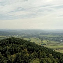 461763410 1039185641338428