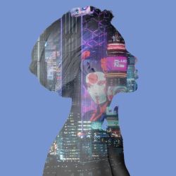 264747658 287697979978818